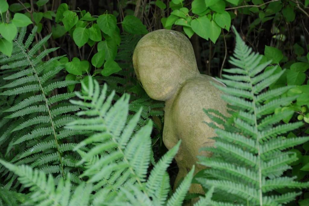 Romantisches Studio Am Waldesrand Mit Gartensauna Schwarz Exterior foto